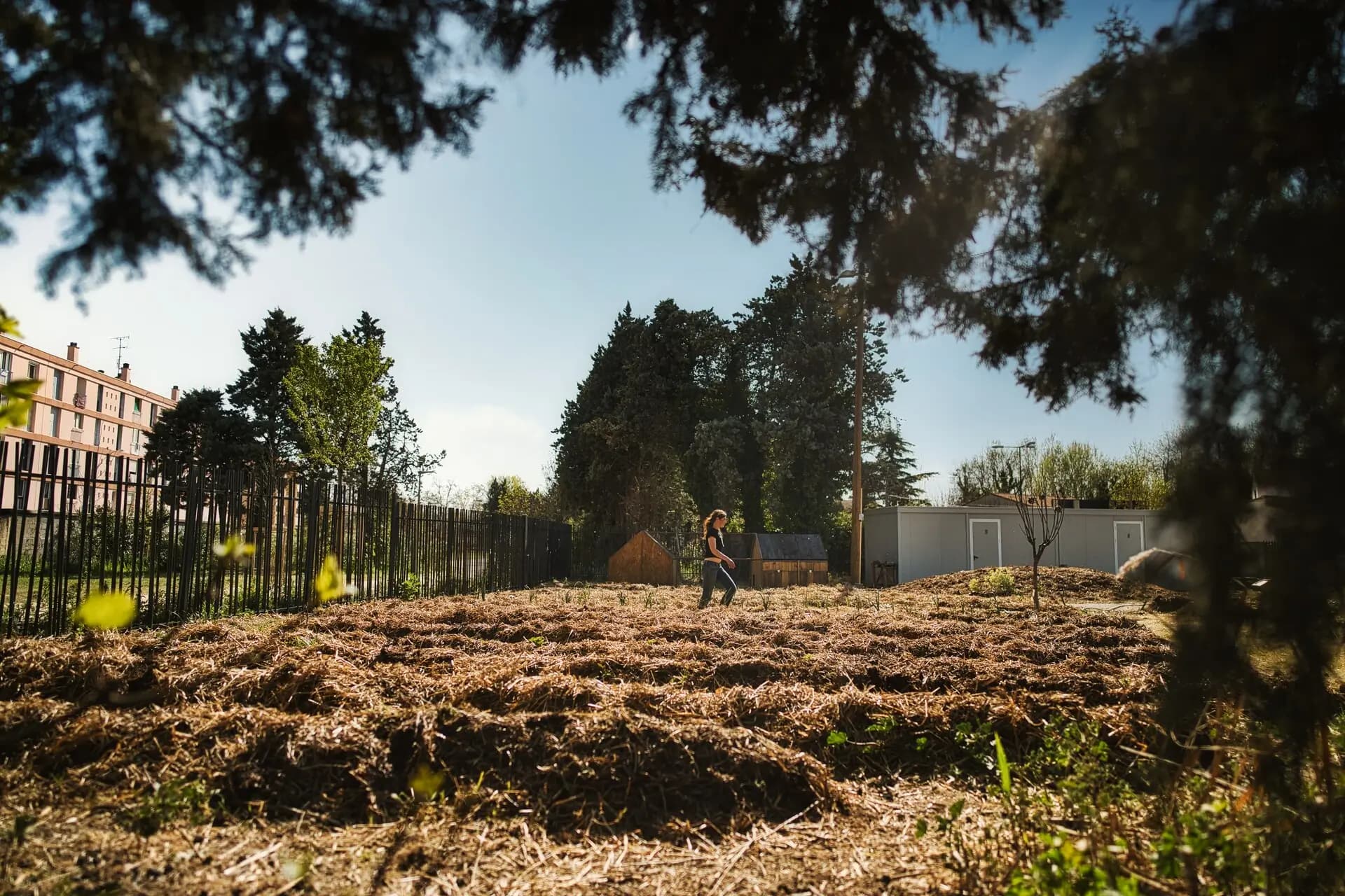 Visite d'un jardin partagé géré par Les Incroyables Comestibles, promenade parmi les parcelles cultivées