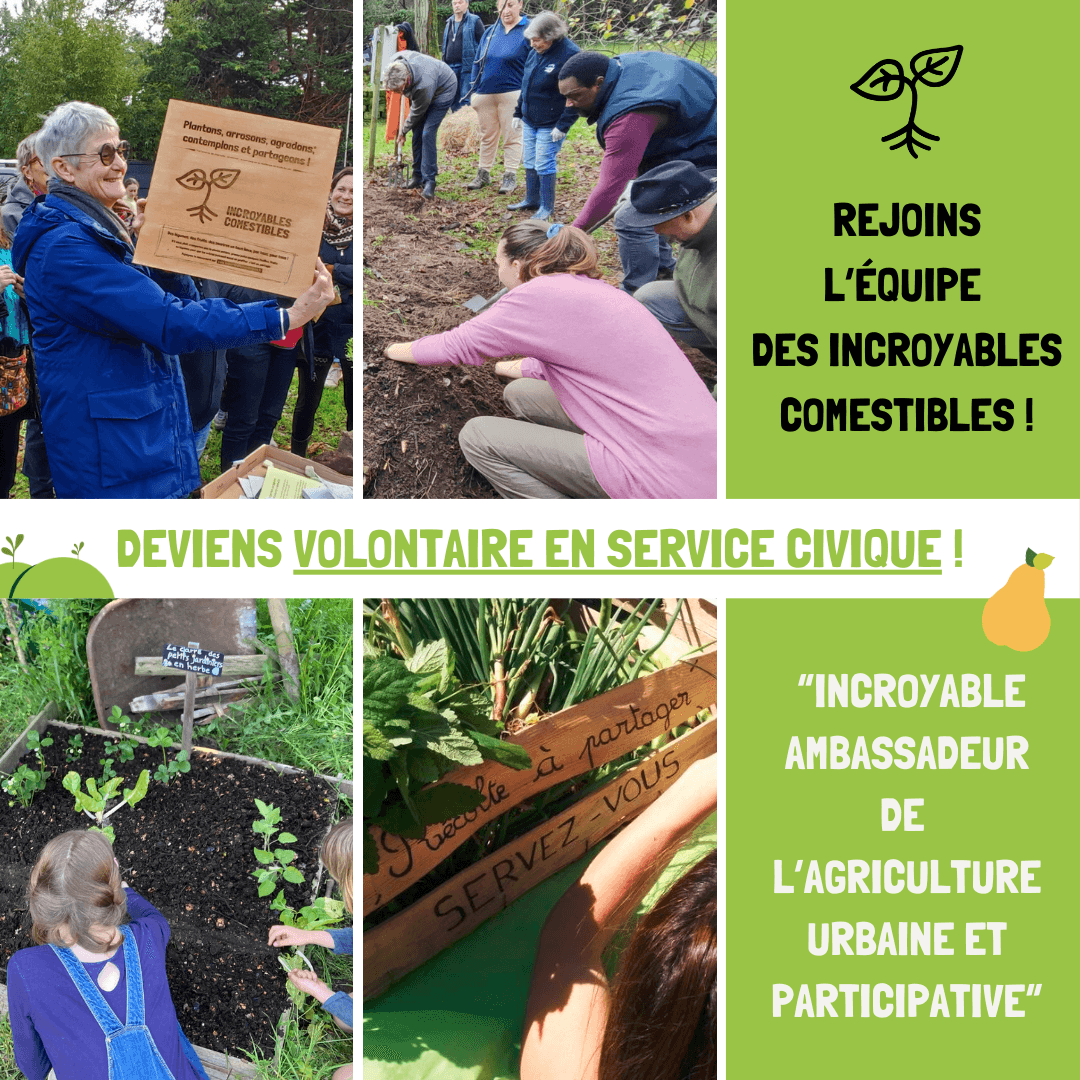 DEVIENS VOLONTAIRE EN SERVICE CIVIQUE : INCROYABLE AMBASSADEUR DE L’AGRICULTURE URBAINE ET PARTICIPATIVE